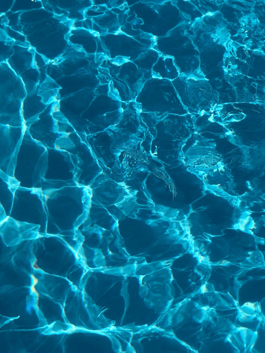 Pool reinigen und pflegen: Tipps für sauberes Wasser das ganze Jahr - VERUS LIVING
