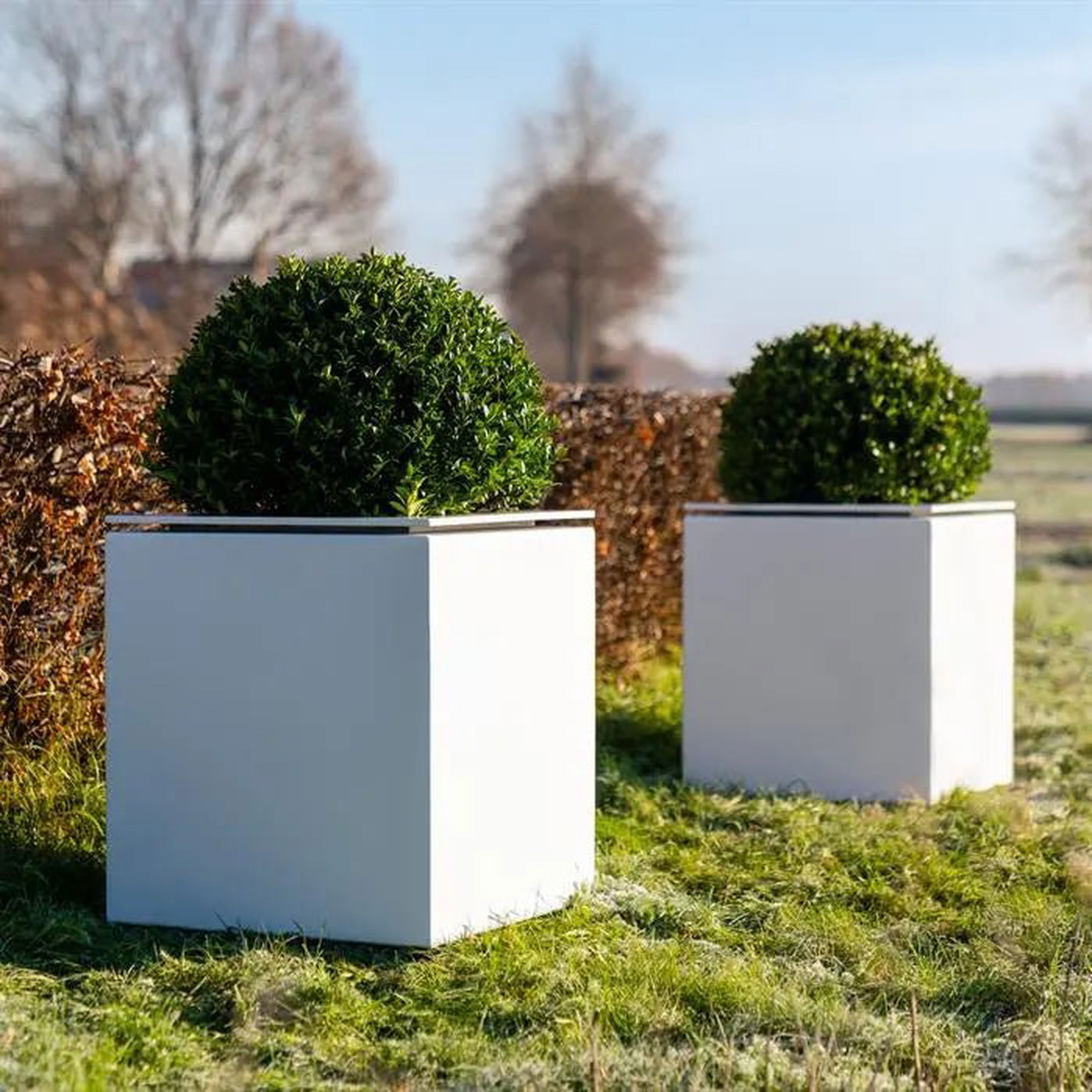 - Adezz - Domus Pflanzkübel Aluminium