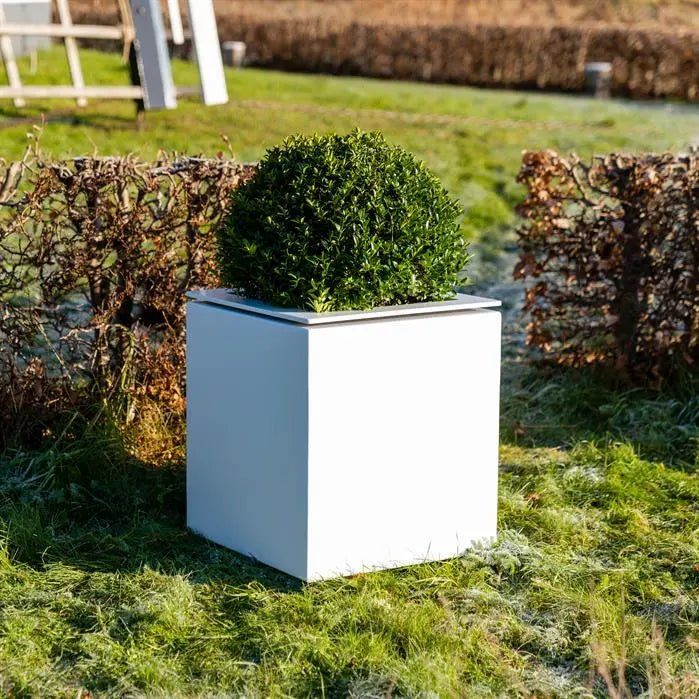 - Adezz - Domus Pflanzkübel Aluminium